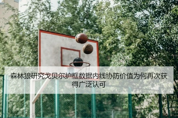 森林狼研究戈贝尔护框数据内线协防价值为何再次获得广泛认可